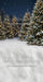 Jingle Express Forest Sweeps (JA)