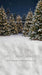 Jingle Express Forest Sweeps (JA)