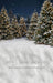 Jingle Express Forest Sweeps (JA)