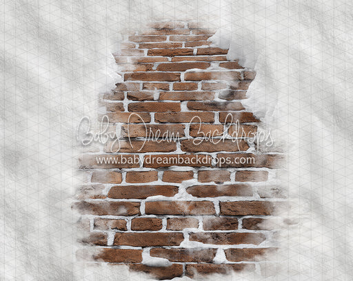 Jolly Brown Brick Path Floor (CC)