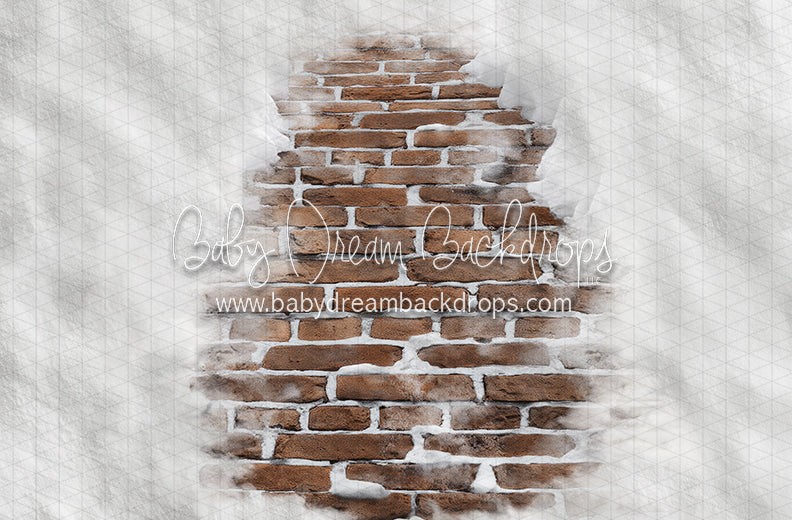 Jolly Brown Brick Path Floor (CC)