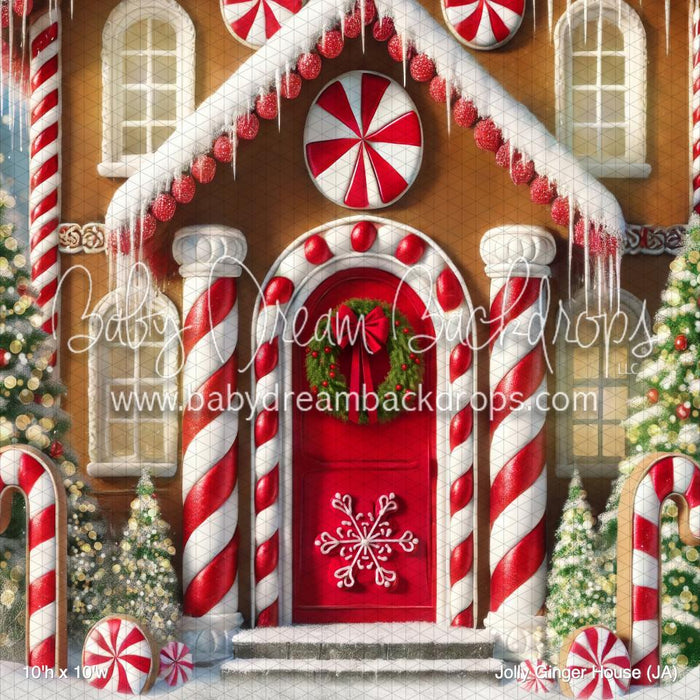 Jolly Ginger House (JA)