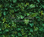 Jungle Greens Wall (CC)