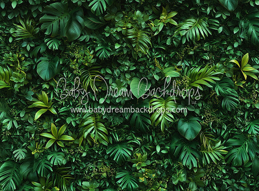 Jungle Greens Wall (CC)