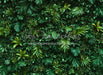 Jungle Greens Wall (CC)