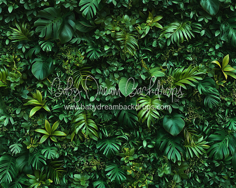 Jungle Greens Wall (CC)