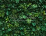 Jungle Greens Wall (CC)
