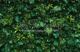 Jungle Greens Wall (CC)