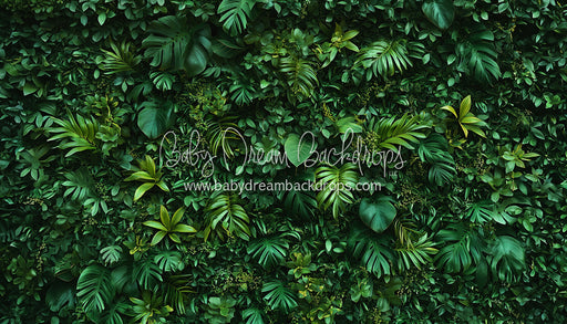 Jungle Greens Wall (CC)