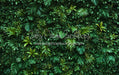 Jungle Greens Wall (CC)