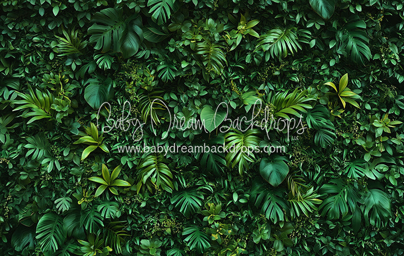 Jungle Greens Wall (CC)