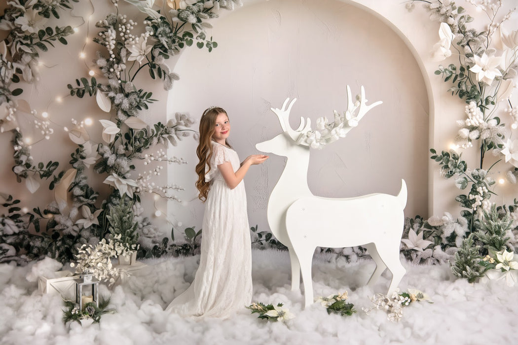 Snow Dusted Arch (MD)