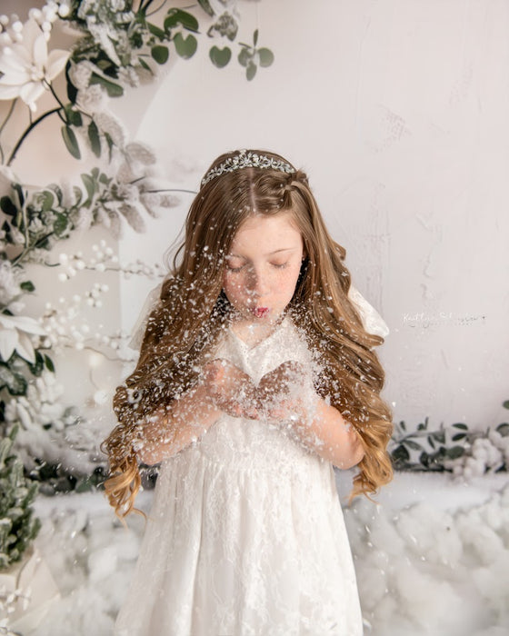 Snow Dusted Arch (MD)
