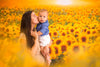 Sweet Sunflower Field (CC)