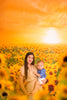 Sweet Sunflower Field (CC)