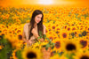 Sweet Sunflower Field (CC)