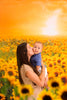 Sweet Sunflower Field (CC)