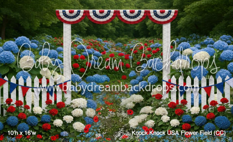 Knock Knock USA Flower Field (CC)