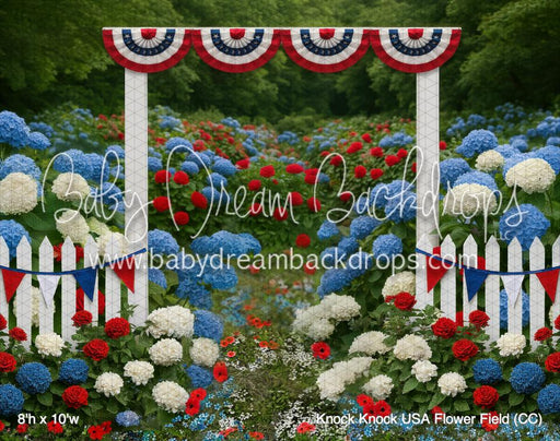 Knock Knock USA Flower Field (CC)