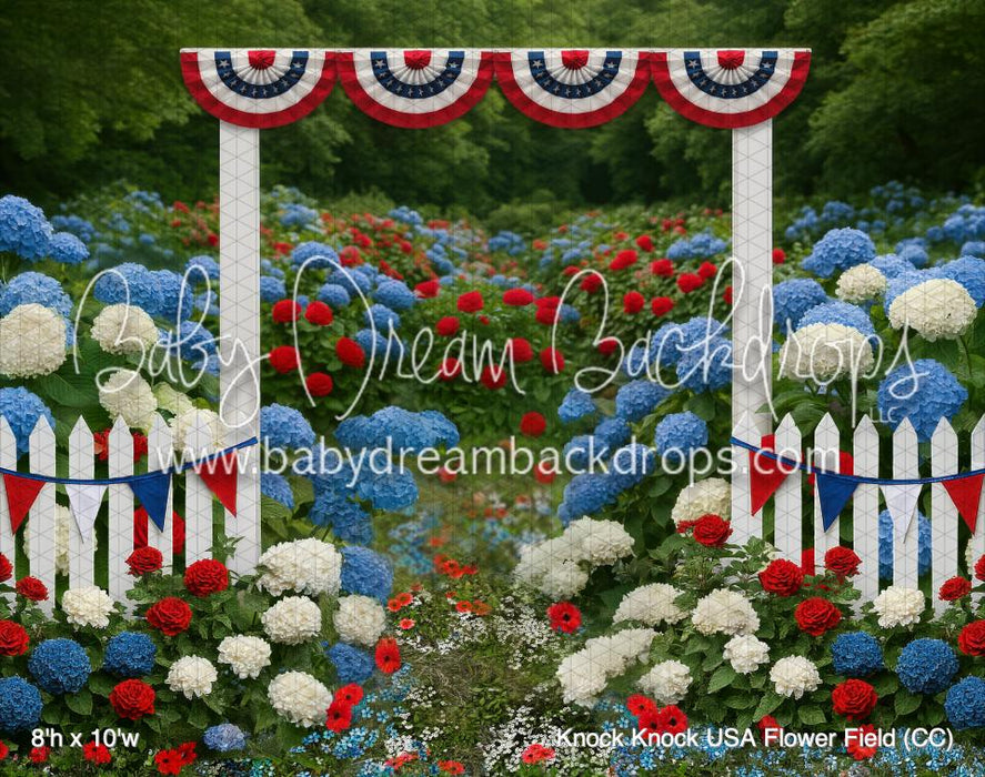 Knock Knock USA Flower Field (CC)