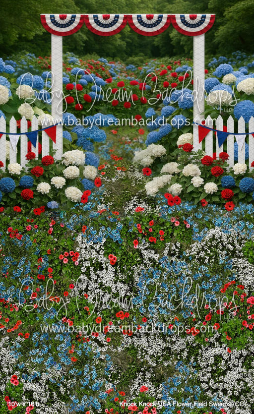 Knock Knock USA Flower Field Sweeps (CC)