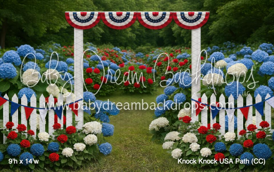 Knock Knock USA Path (CC)