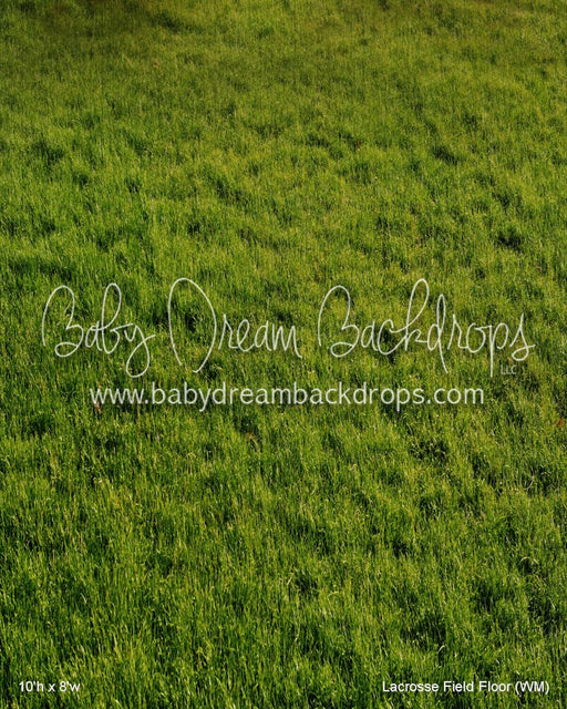 Lacrosse Field Fabric Floor (WM)