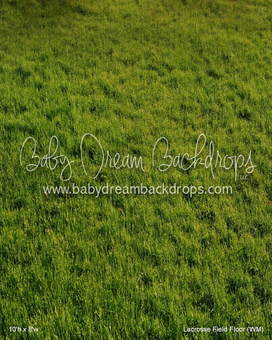 Lacrosse Field Fabric Floor (WM)