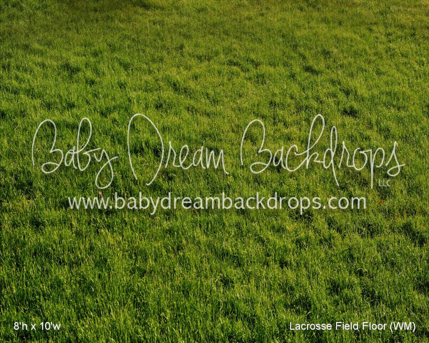 Lacrosse Field Fabric Floor (WM)