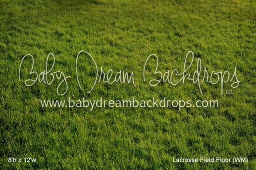 Lacrosse Field Fabric Floor (WM)