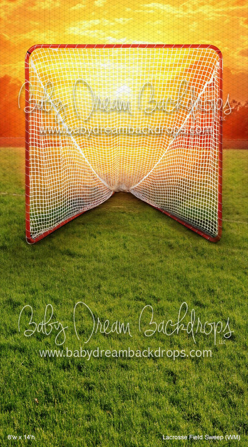 Lacrosse Field Sweep (WM)
