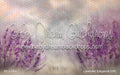 Lavender Elegance (VR)