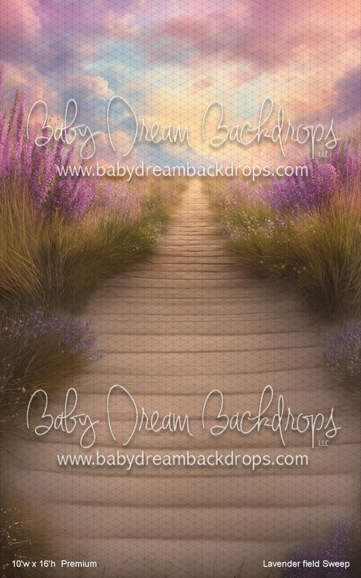 Lavender field Sweep (VR)