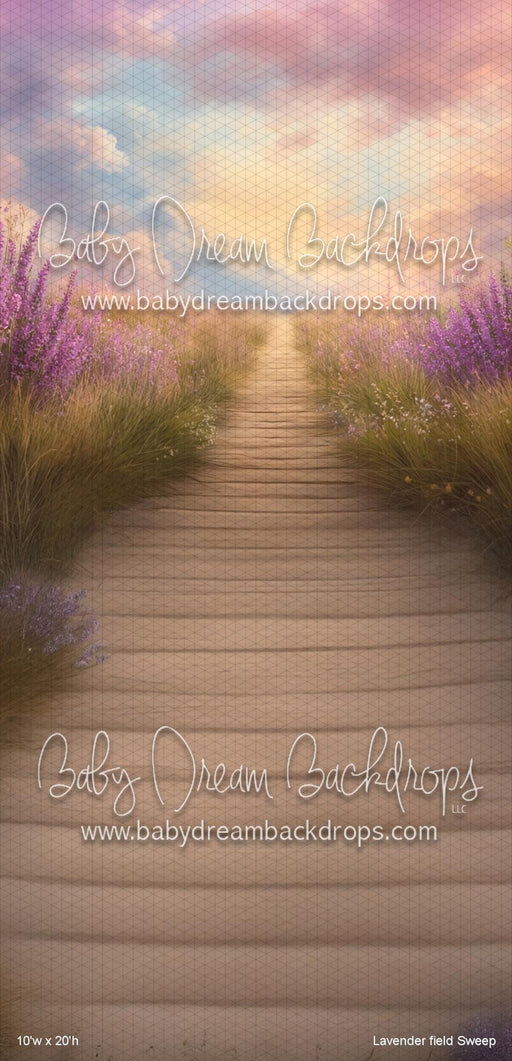 Lavender field Sweep (VR)