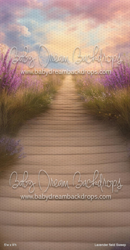 Lavender field Sweep (VR)