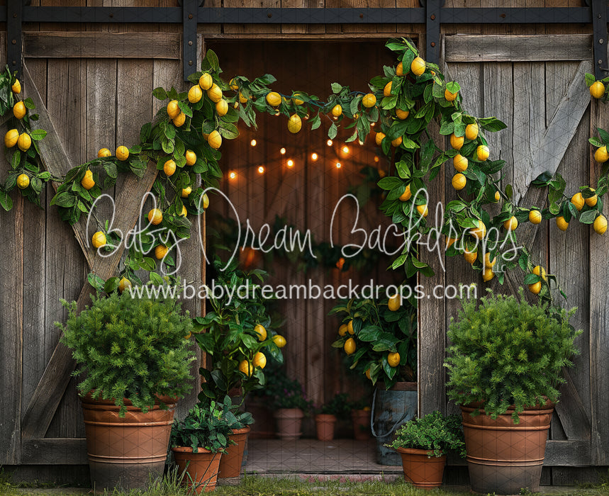 Lemonade Barn (JA)