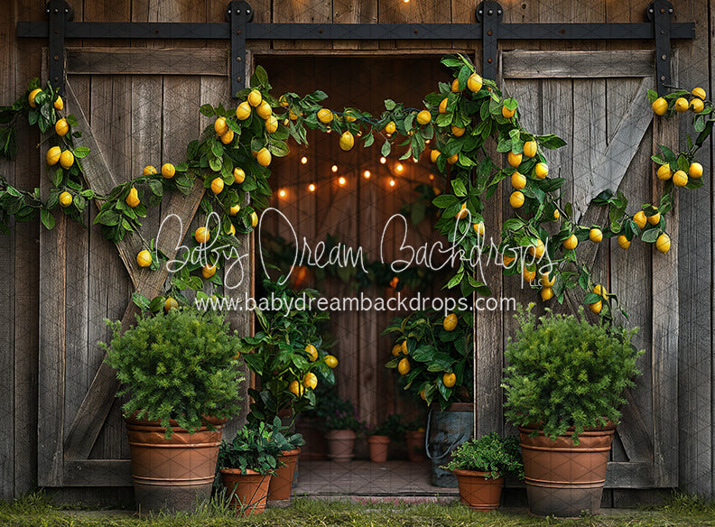 Lemonade Barn (JA)