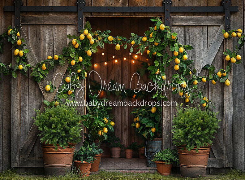 Lemonade Barn (JA)