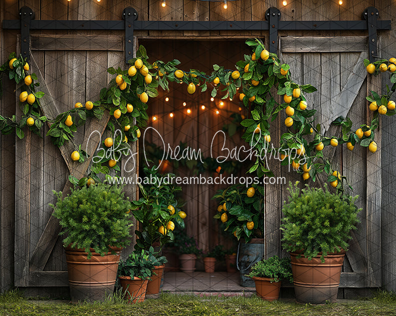 Lemonade Barn (JA)