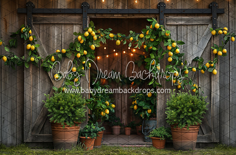 Lemonade Barn (JA)