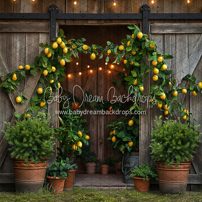 Lemonade Barn (JA)