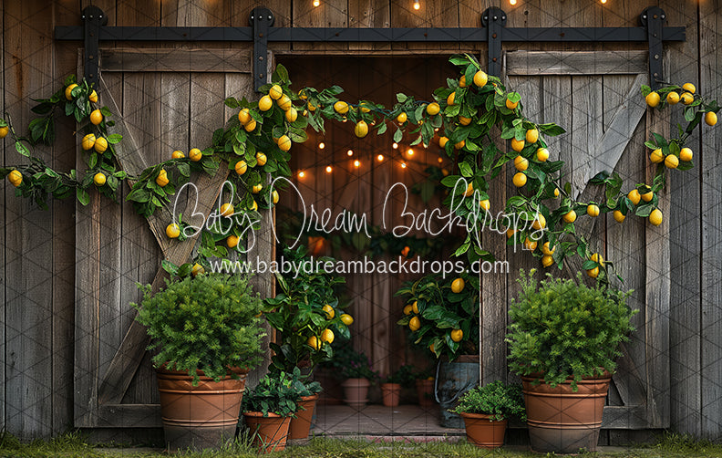 Lemonade Barn (JA)