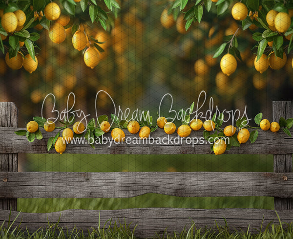 Lemonade Fence (JA)