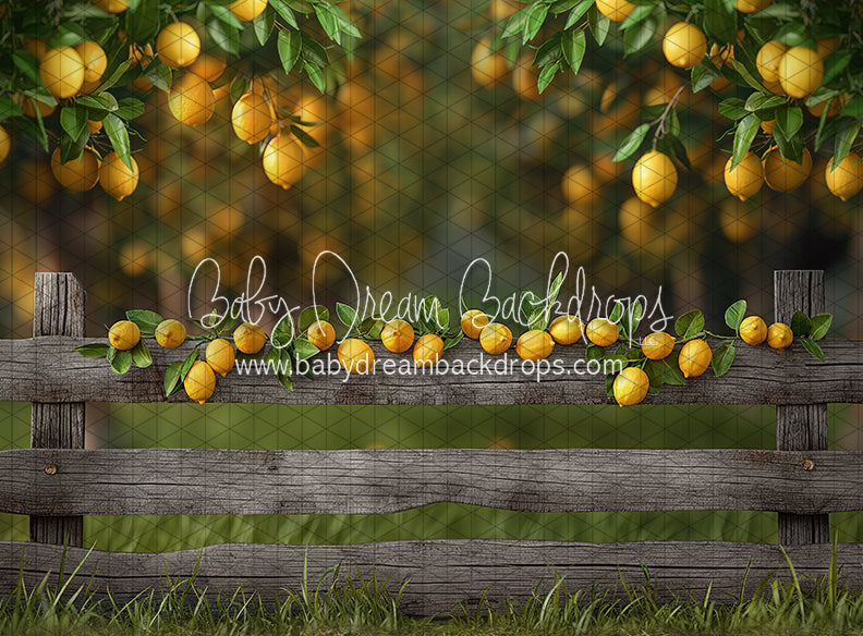 Lemonade Fence (JA)