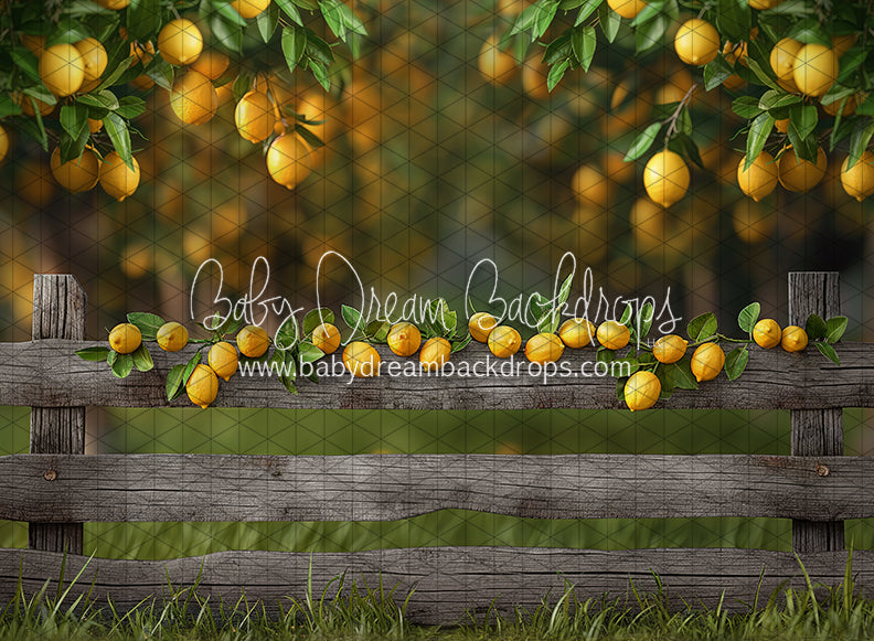 Lemonade Fence (JA)