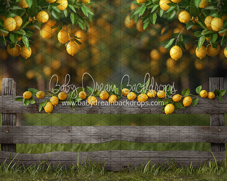 Lemonade Fence (JA)