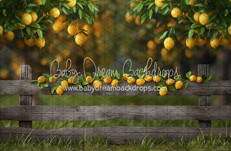 Lemonade Fence (JA)