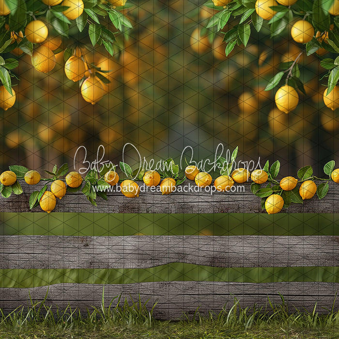 Lemonade Fence (JA)
