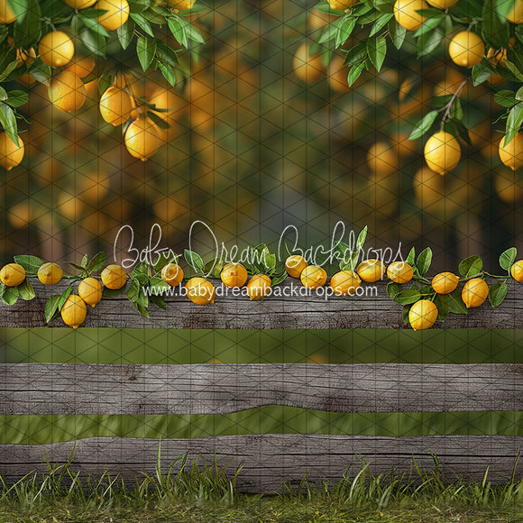 X Drop Lemonade Fence (JA)