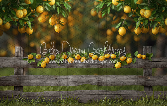 Lemonade Fence (JA)